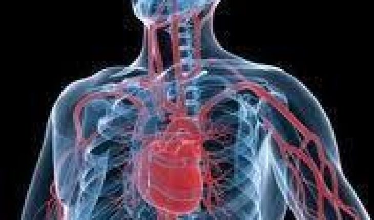 Human Circulatory System Diseases - Mighty Guide